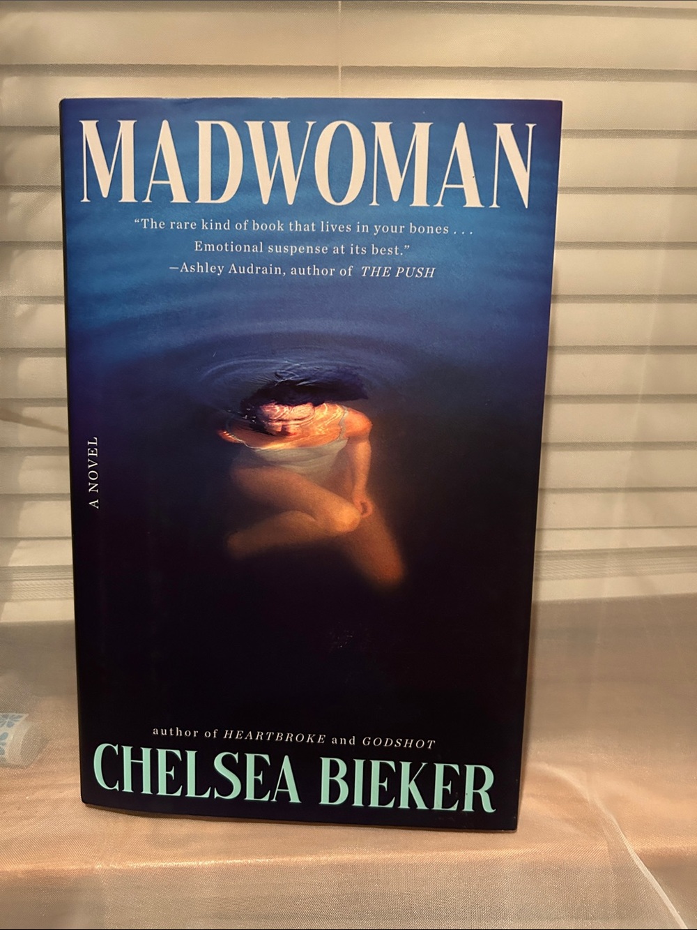 Fictional Thriller -Madwoman by Chelsea Bieker